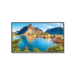 80" NEC MultiSync E805