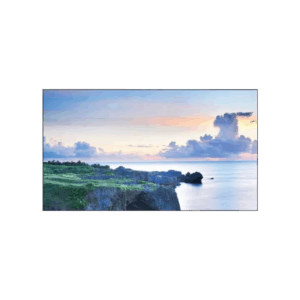 46" NEC MultiSync X462UN