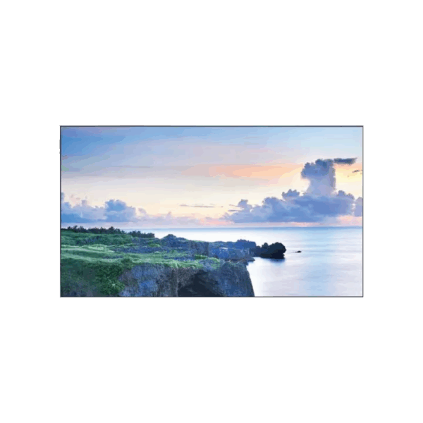 46" NEC MultiSync X462UN